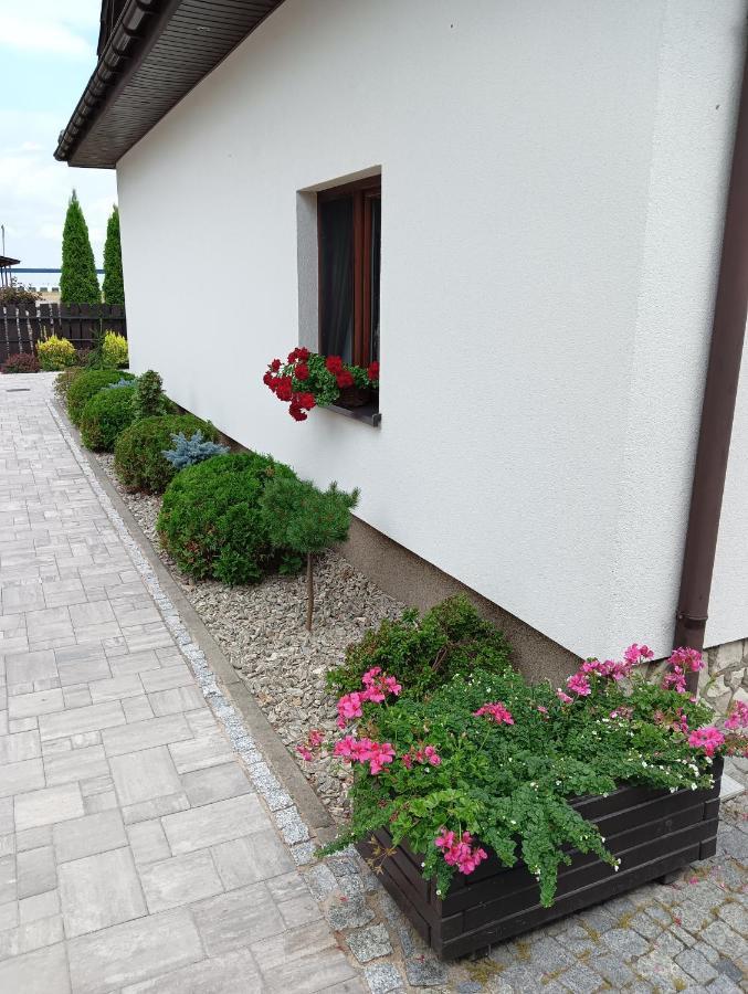 Apartmán Zacisze Rozalin  Exteriér fotografie
