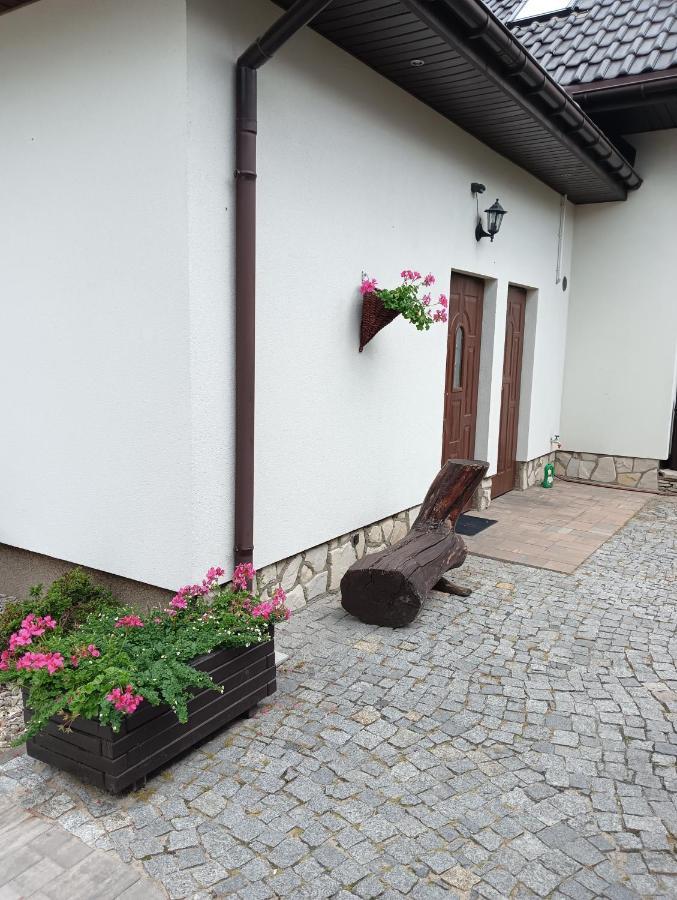 Apartmán Zacisze Rozalin  Exteriér fotografie